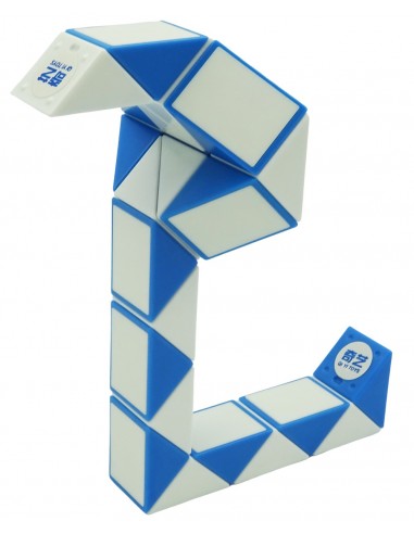 Qiyi Snake Rubik 24